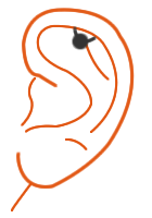 Orbital Piercing fürs Ohr