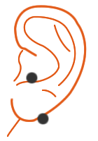 Vertical Lobe Piercing fürs Ohr